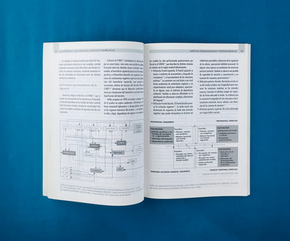 La depresión y sus máscaras aspectos terapéuticos tomo 1 y 2