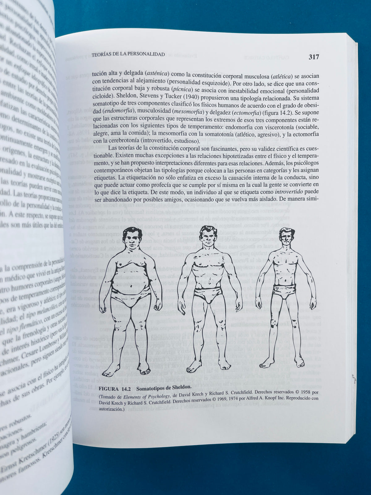 Tests psicológicos y evaluación undécima edición by Lewis R Aiken