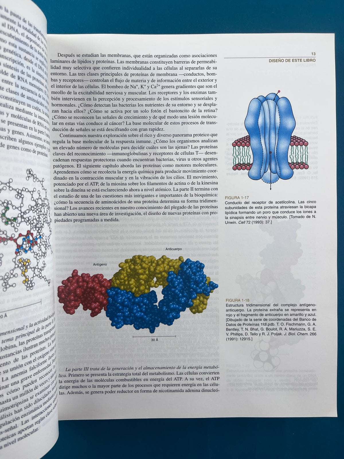 Bioquímica dos tomos cuarta edición by Lubert Stryer