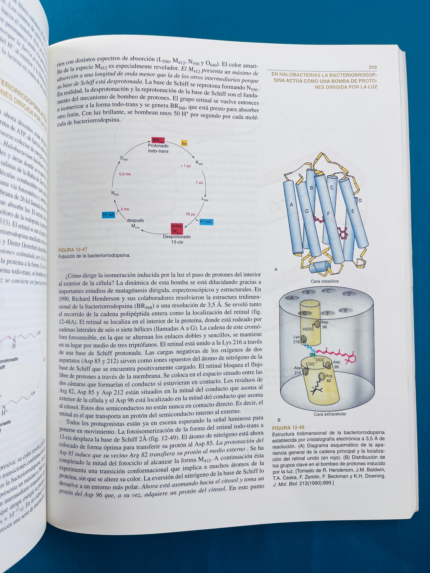 Bioquímica dos tomos cuarta edición