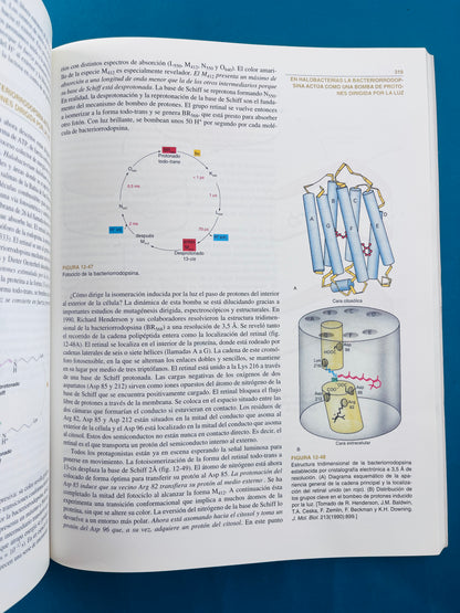 Bioquímica dos tomos cuarta edición