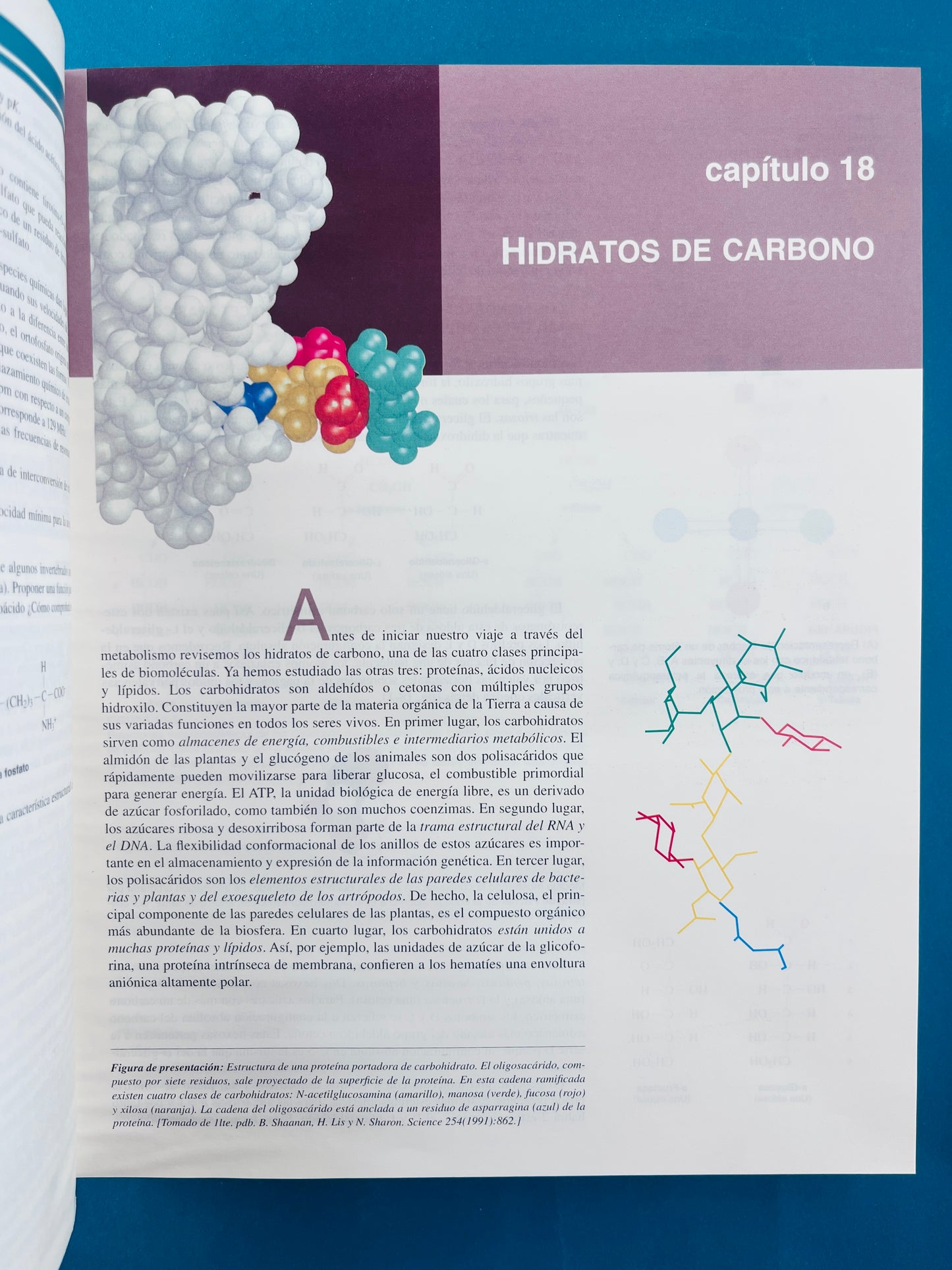 Bioquímica dos tomos cuarta edición