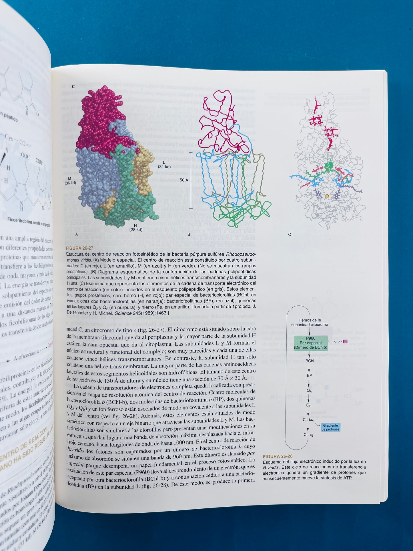 Bioquímica dos tomos cuarta edición