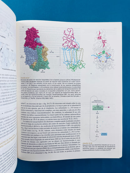 Bioquímica dos tomos cuarta edición