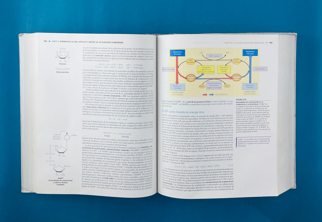Bioquímica cuarta edición by Chrstopher K. Mathews K E Van Holde Dean R Appling Spencer J Anthony Cahill