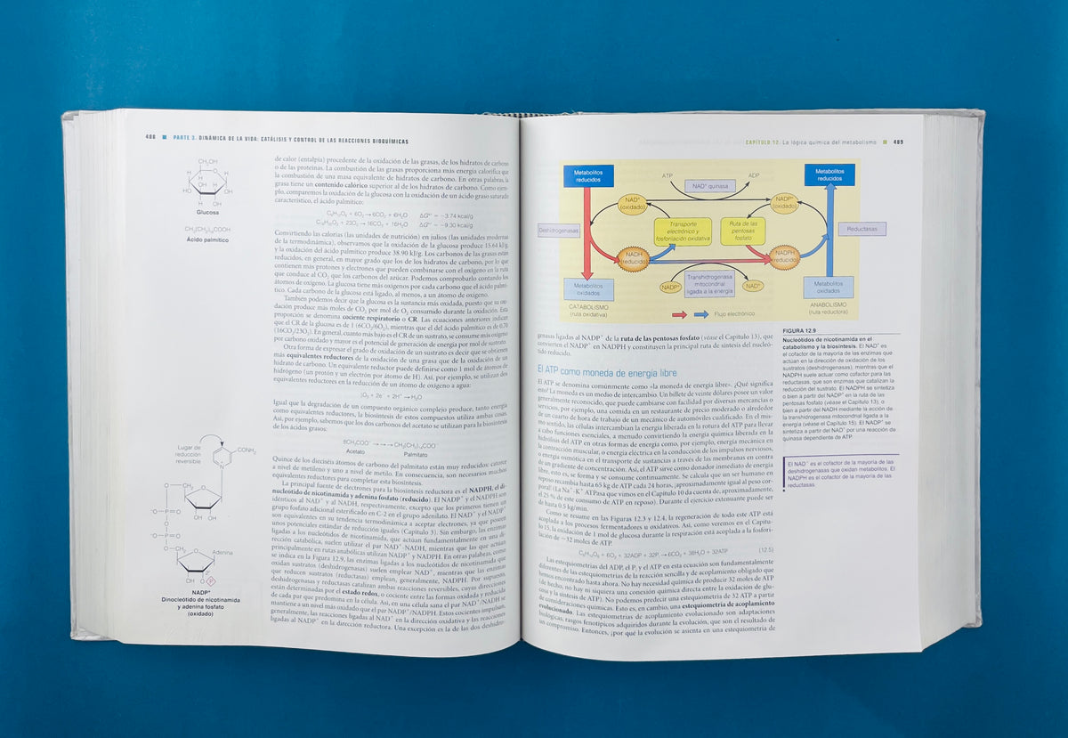 Bioquímica cuarta edición by Chrstopher K. Mathews K E Van Holde Dean R Appling Spencer J Anthony Cahill