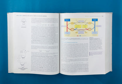 Bioquímica cuarta edición