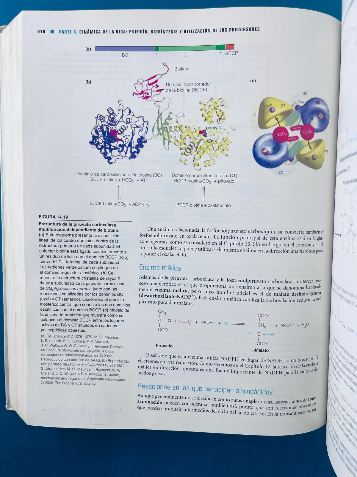 Bioquímica cuarta edición by Chrstopher K. Mathews K E Van Holde Dean R Appling Spencer J Anthony Cahill