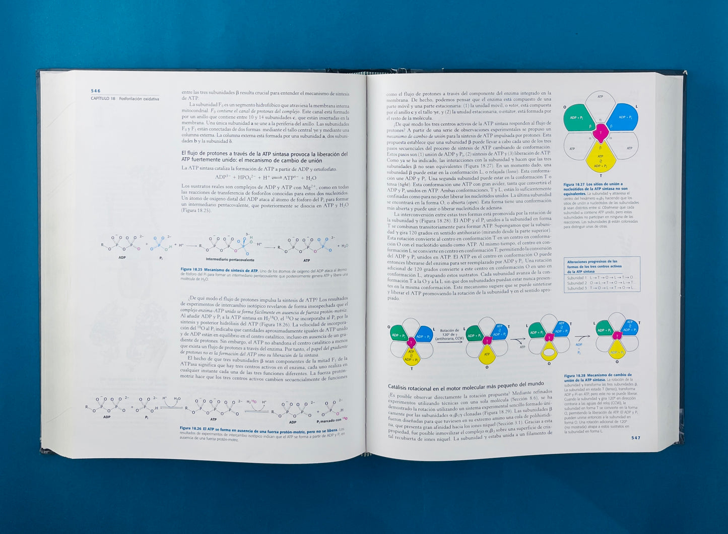 Bioquímica con aplicaciones clínicas séptima edición