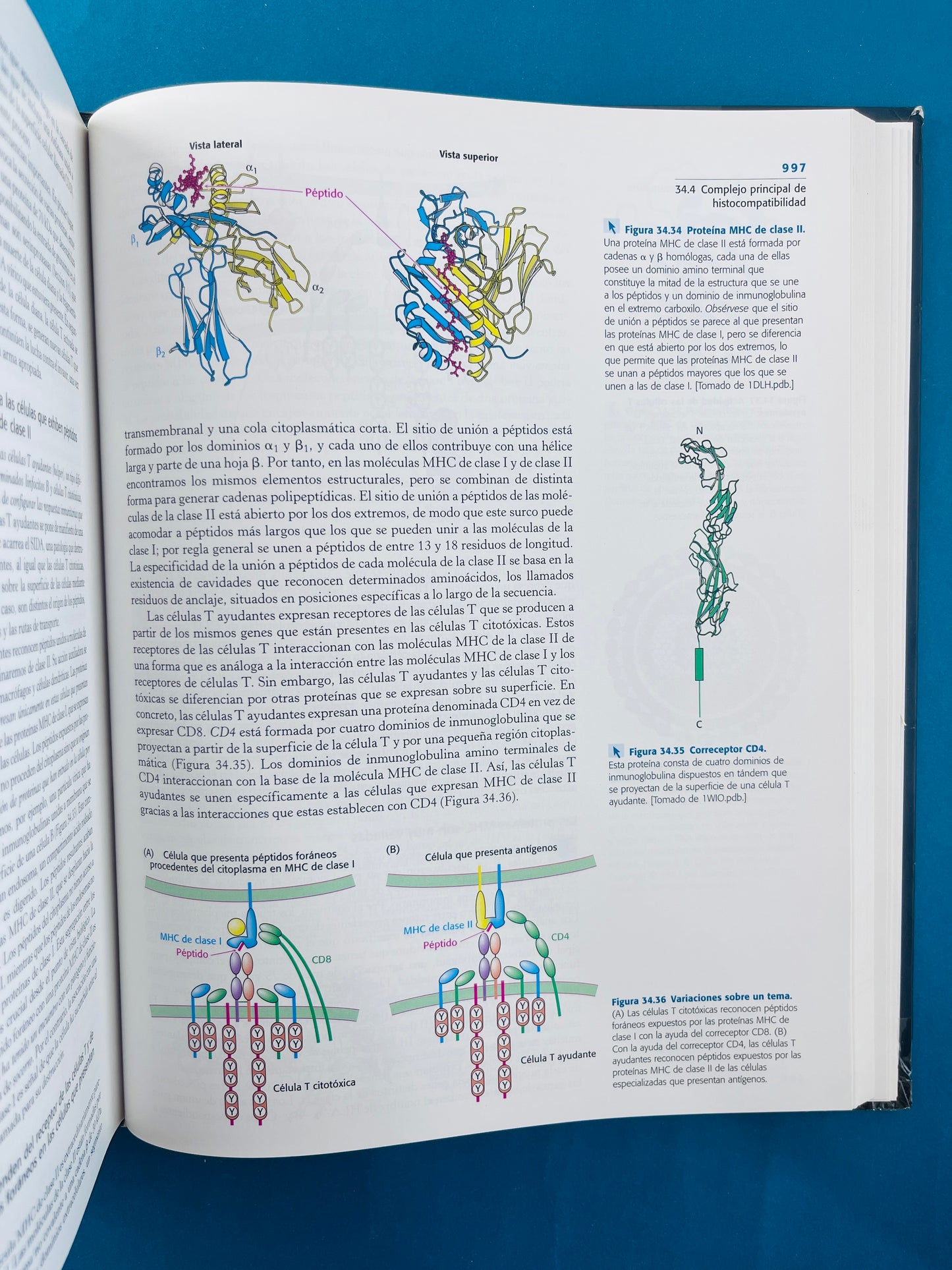 Bioquímica con aplicaciones clínicas séptima edición