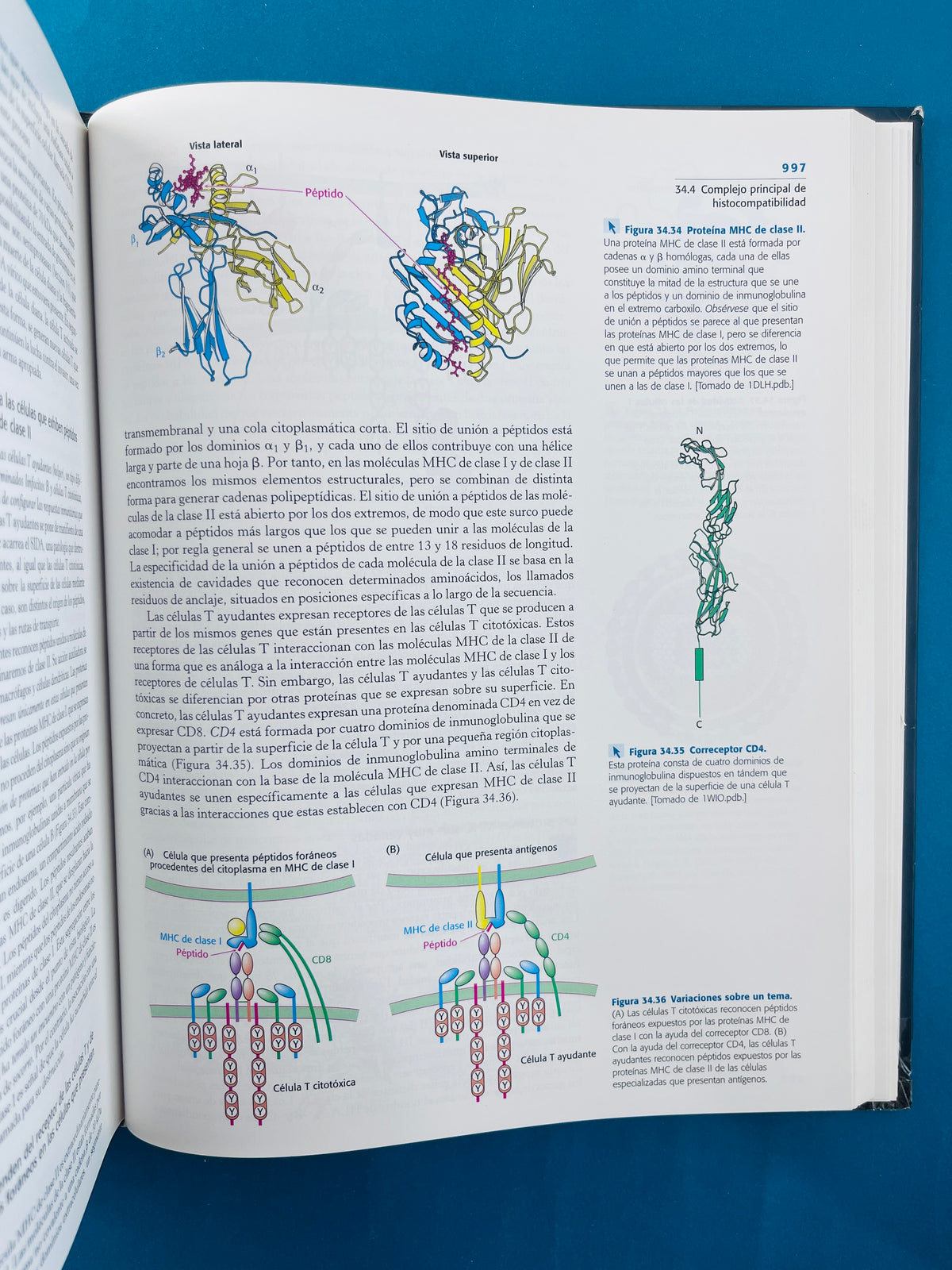 Bioquímica con aplicaciones clínicas séptima edición by John L Tymoczko Jeremy M Berg Lubert Stryer