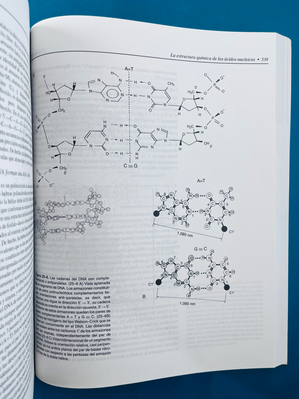 Bioquímica de laguna 5a. edición by José Laguna