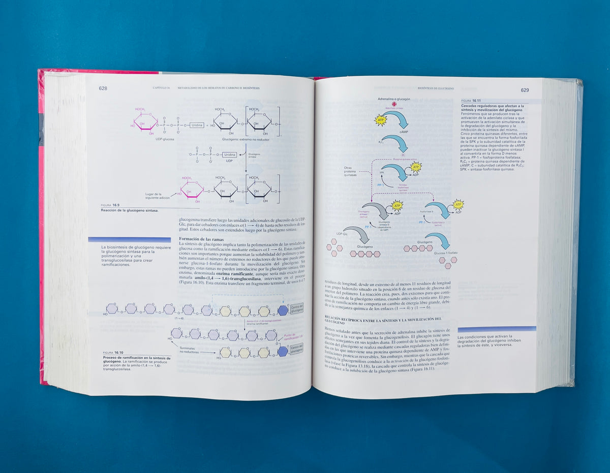 Bioquímica segunda edición by Mathews Van Holde