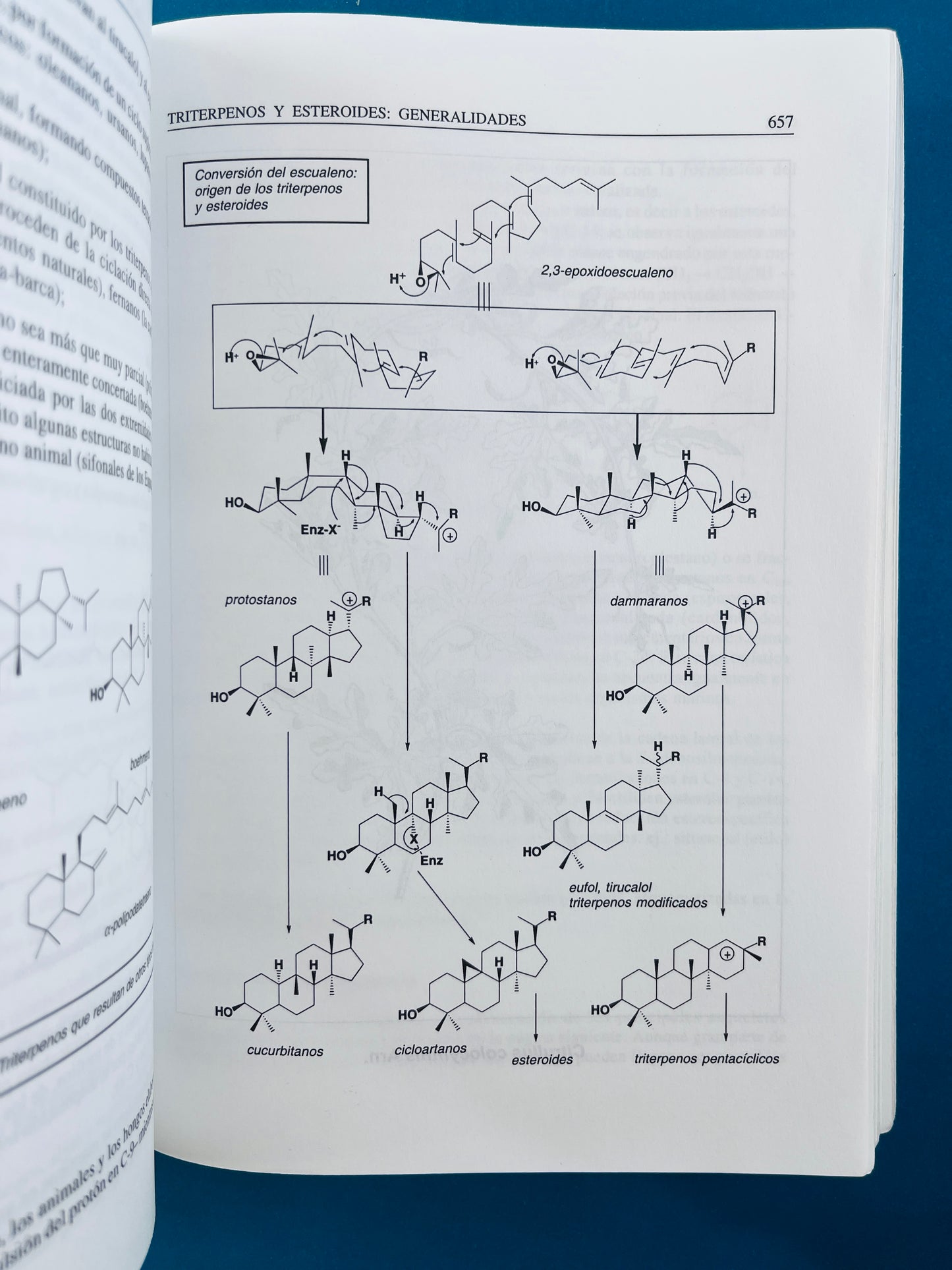 Farmacognosia fitoquímica plantas medicinales segunada edición