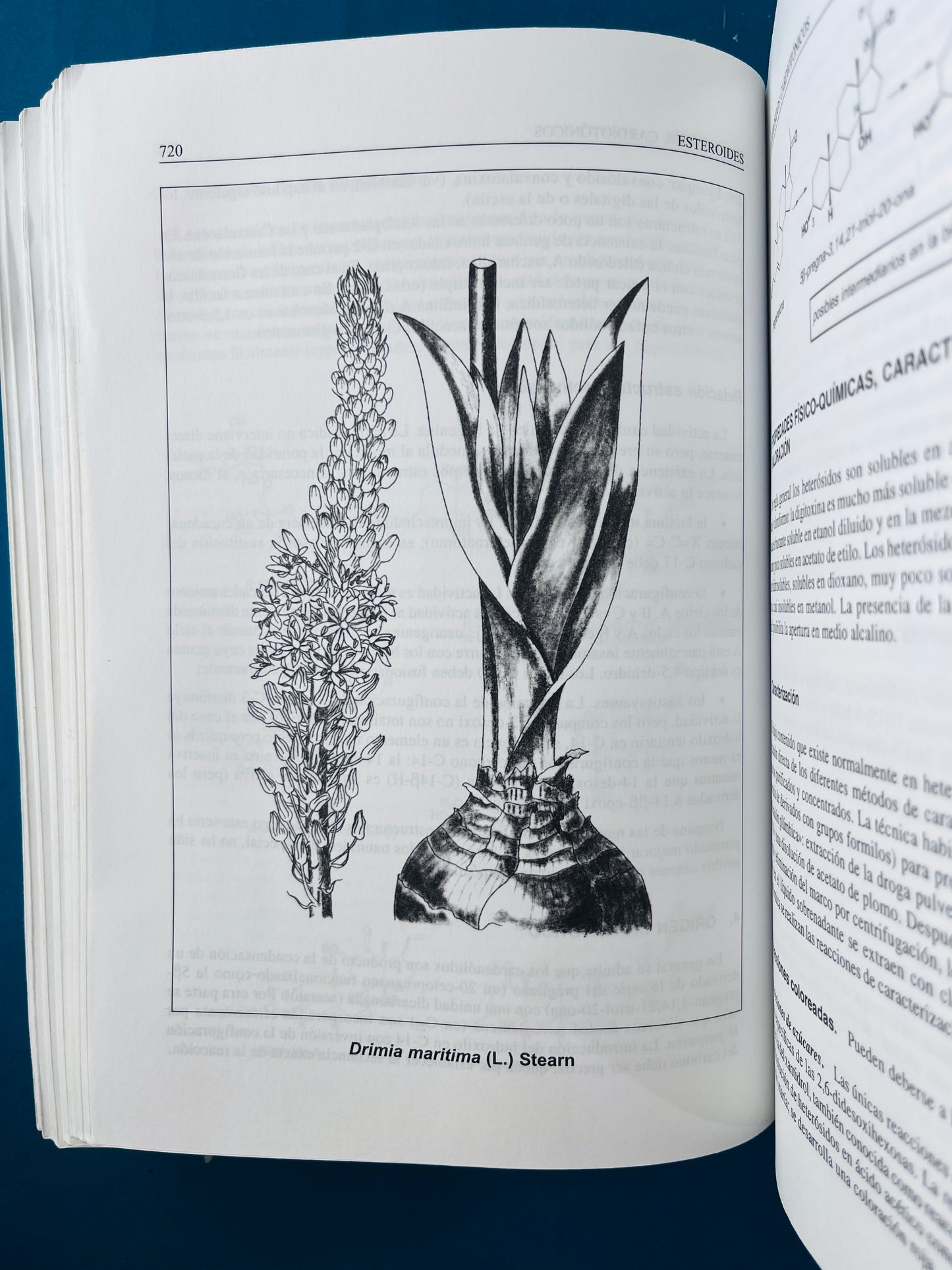 Farmacognosia fitoquímica plantas medicinales segunada edición