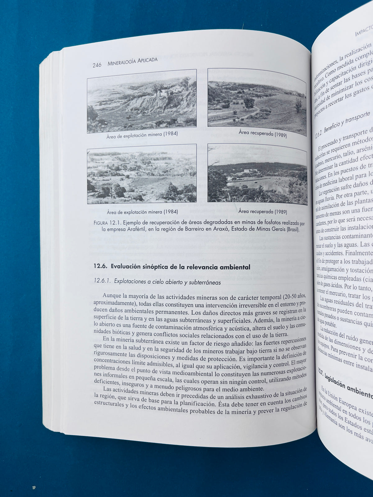 Minerologia aplicada by Emilio Galán Huertos