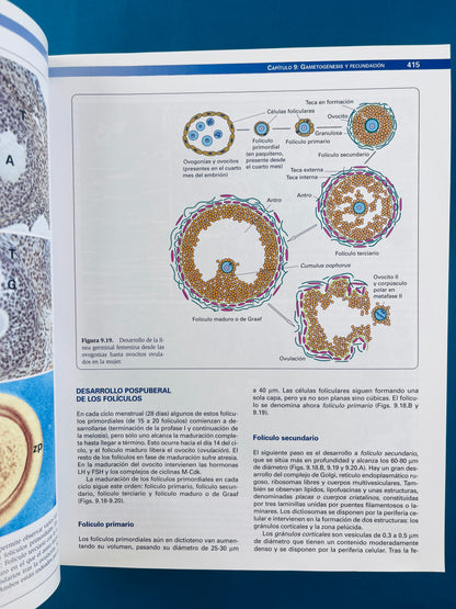 Citología e Histología Vegetal y Animal cuarta edición 2 tomos