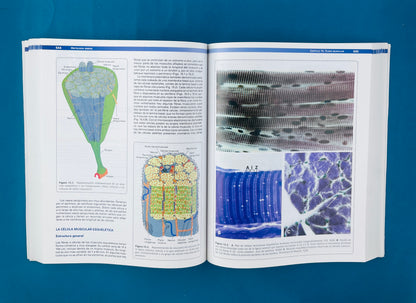Citología e Histología Vegetal y Animal cuarta edición 2 tomos