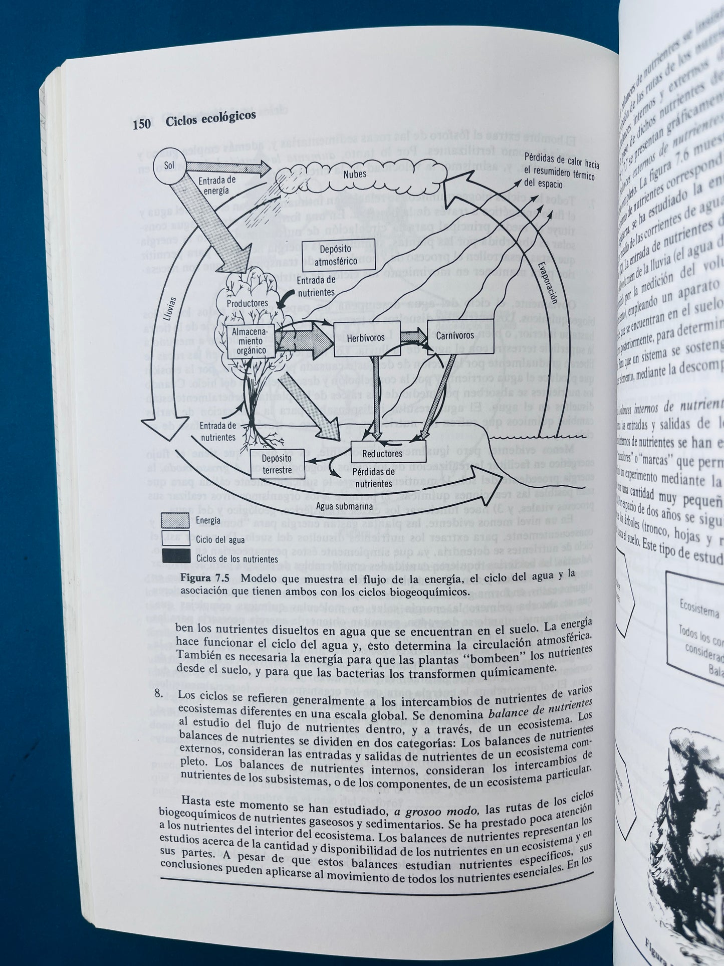 Fundamentos de ecología