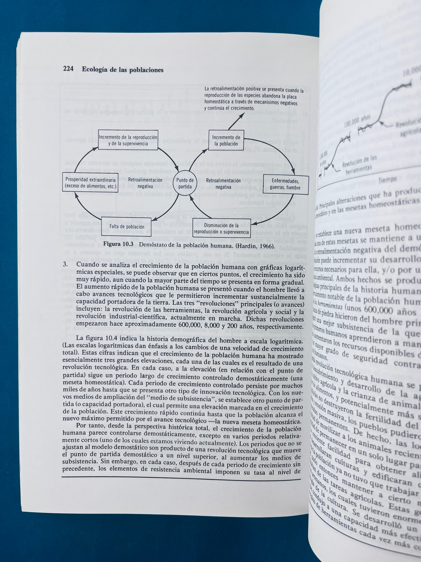 Fundamentos de ecología