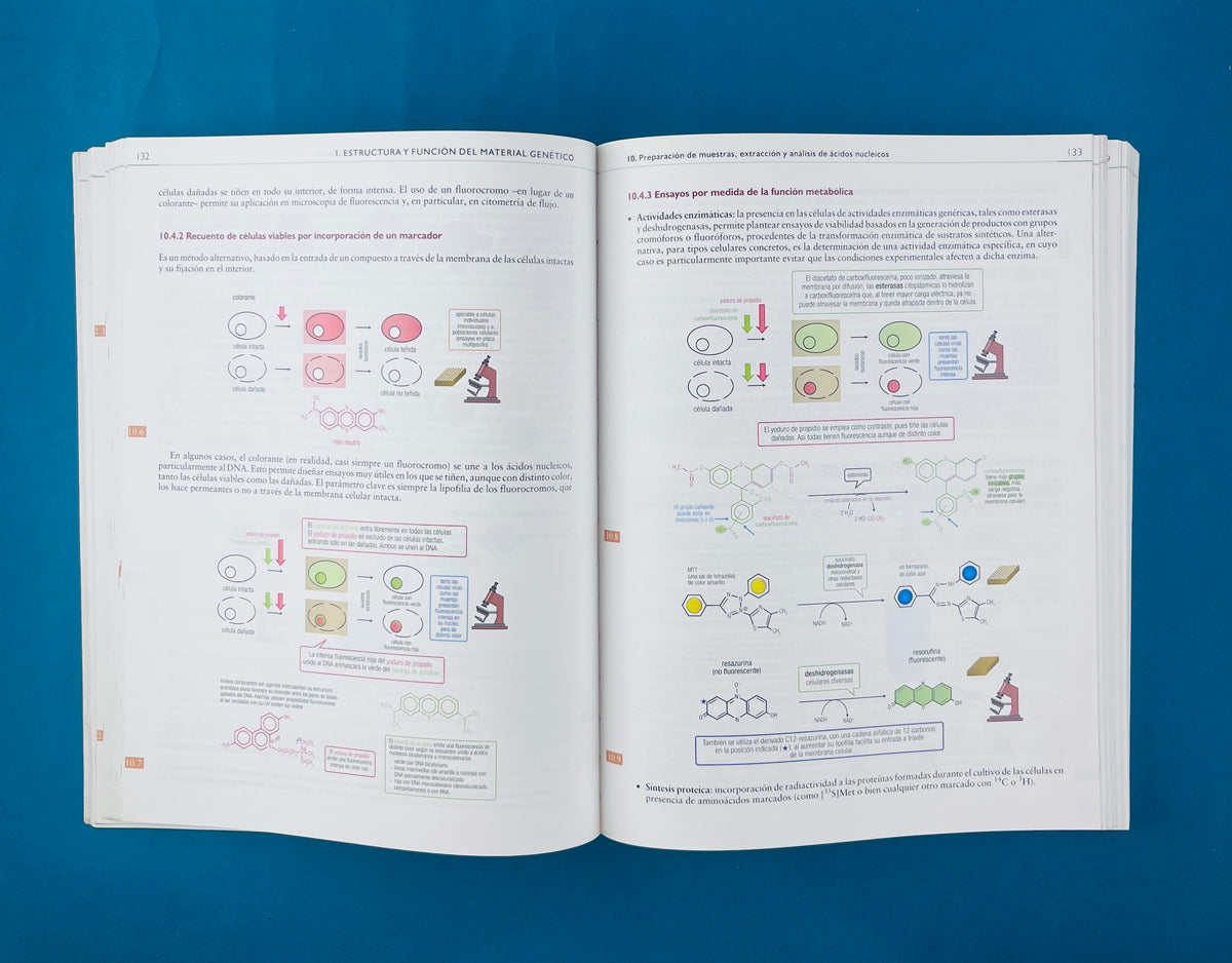 Texto ilustrado e interactivo de Biología molecular e Ingeniería Genética segunda edición conceptos,técnicas y aplicaciones de la salud by Ángel Herráez