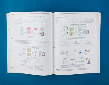 Texto ilustrado e interactivo de Biología molecular e Ingeniería Genética segunda edición conceptos,técnicas y aplicaciones de la salud