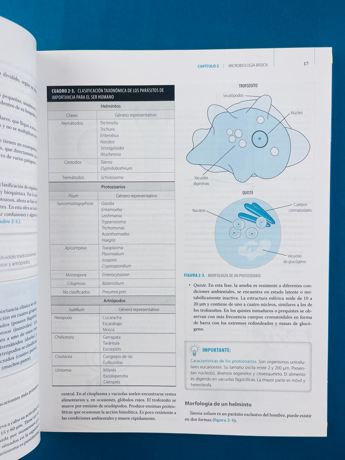 Microbiología de los alimentos fundamentos y aplicaciones en ciencias de la salud by Hernández Urzúa