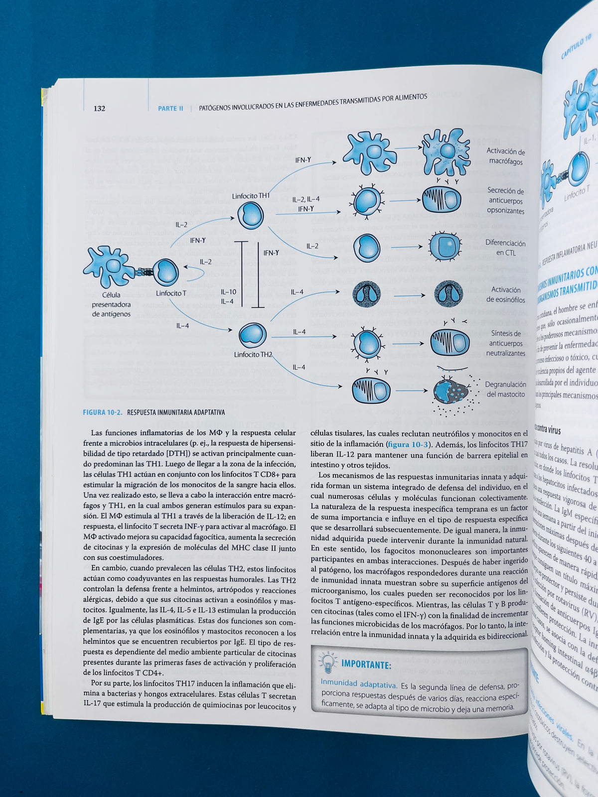 Microbiología de los alimentos fundamentos y aplicaciones en ciencias de la salud by Hernández Urzúa