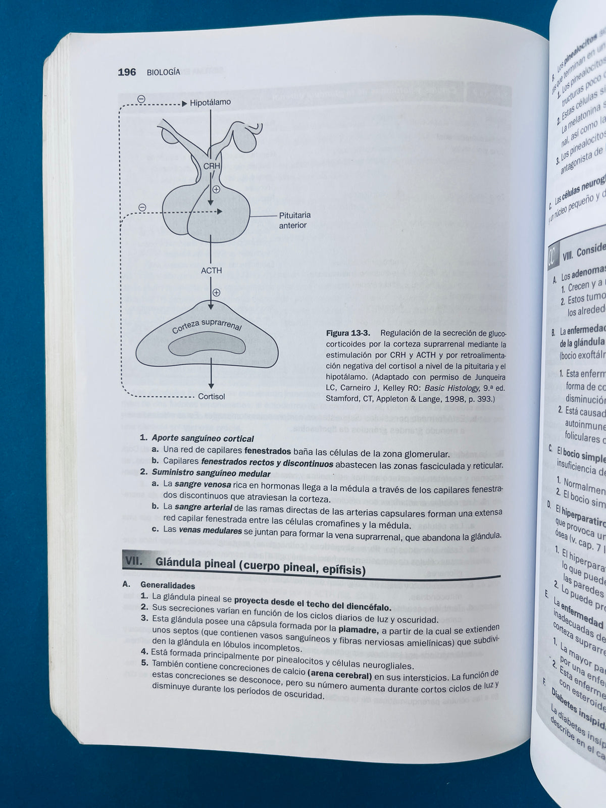 Temas clave biología Celuiar E Histología quinta edición by Leslie P. Gartner James L. Hiatt Judy M. Sturm