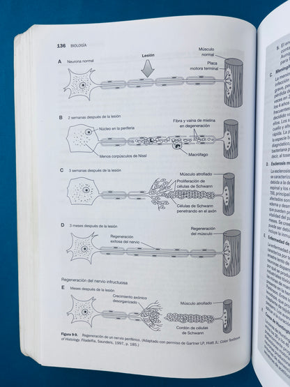 Temas clave biología Celuiar E Histología quinta edición
