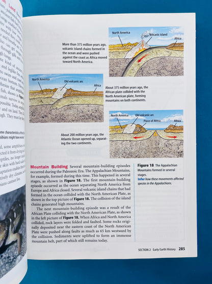 Glencoe sciencie level blue