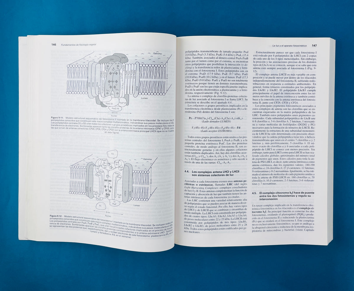 Fundamentos de fisiología vegetal by Joaquín Azcón Bieto Manuel Talón
