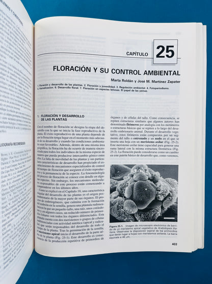 Fundamentos de fisiología vegetal