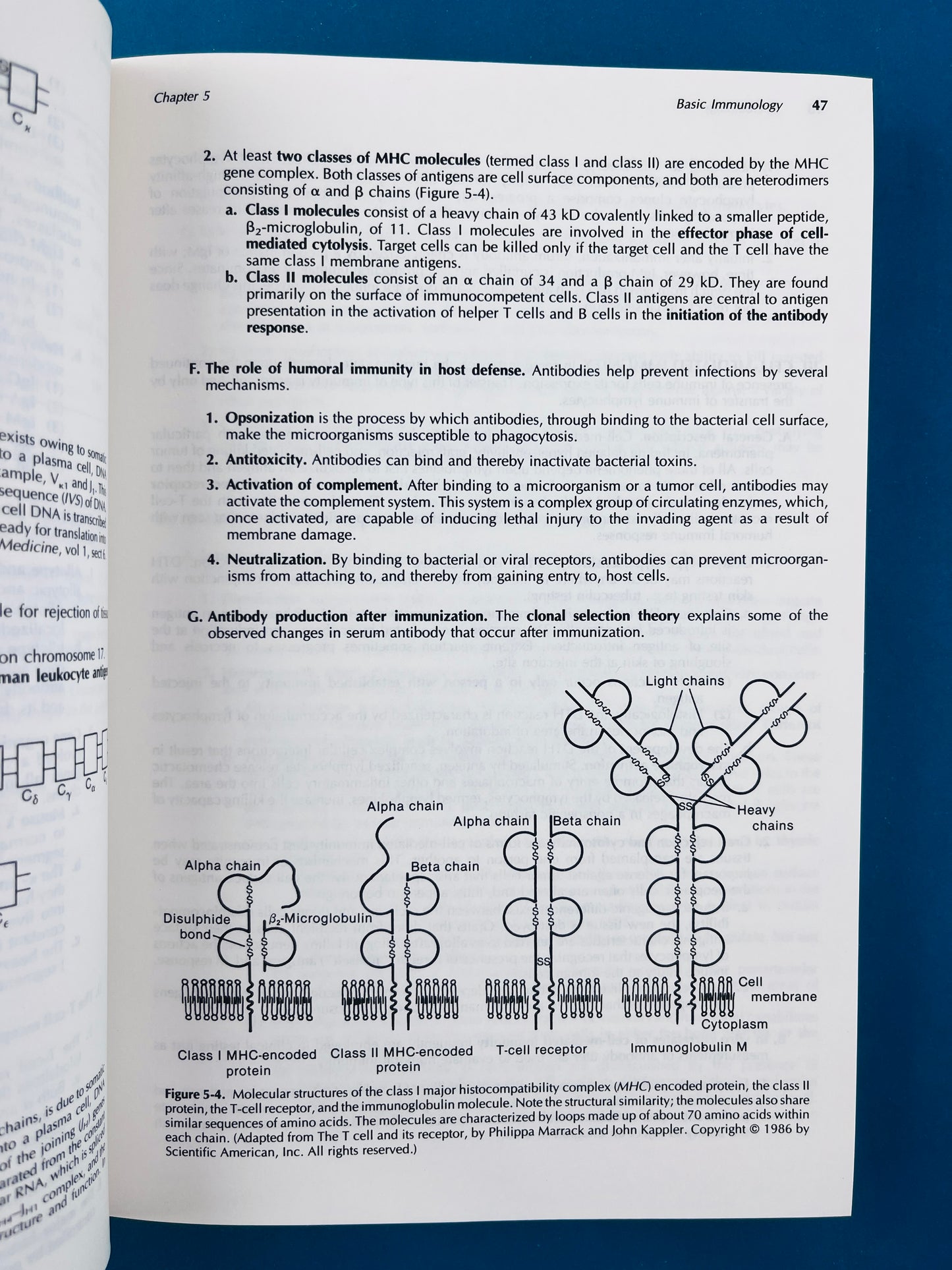 Microbiology 2nd edition