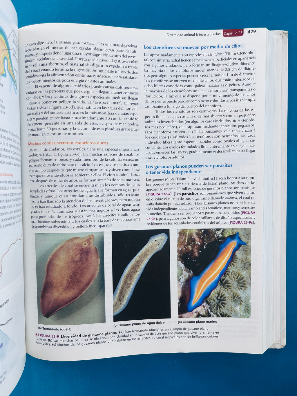 Biología la vida en la tierra con fisiología novena edición by Audesirk Audesirk Byers