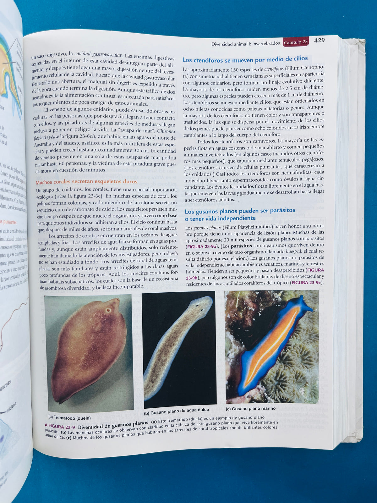 Biología la vida en la tierra con fisiología novena edición by Audesirk Audesirk Byers