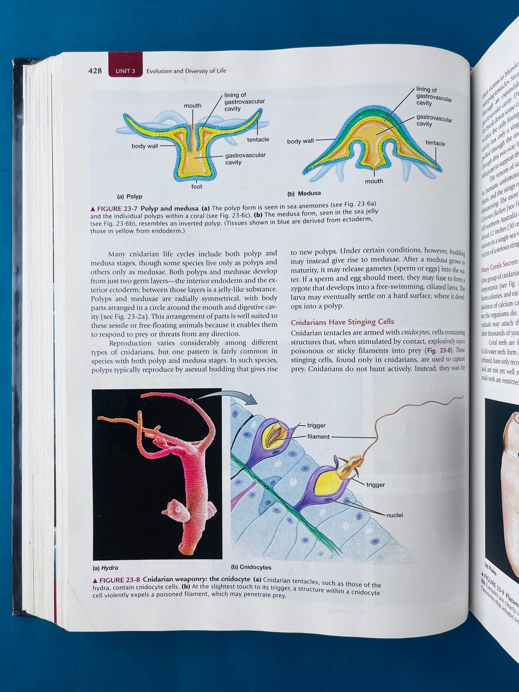 Biology life on earth with physiology ninth edition by Audesirk Audesirk Byers