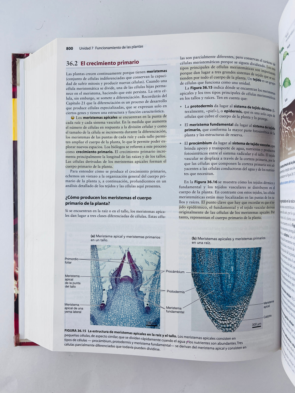 Biología by Scott Freeman