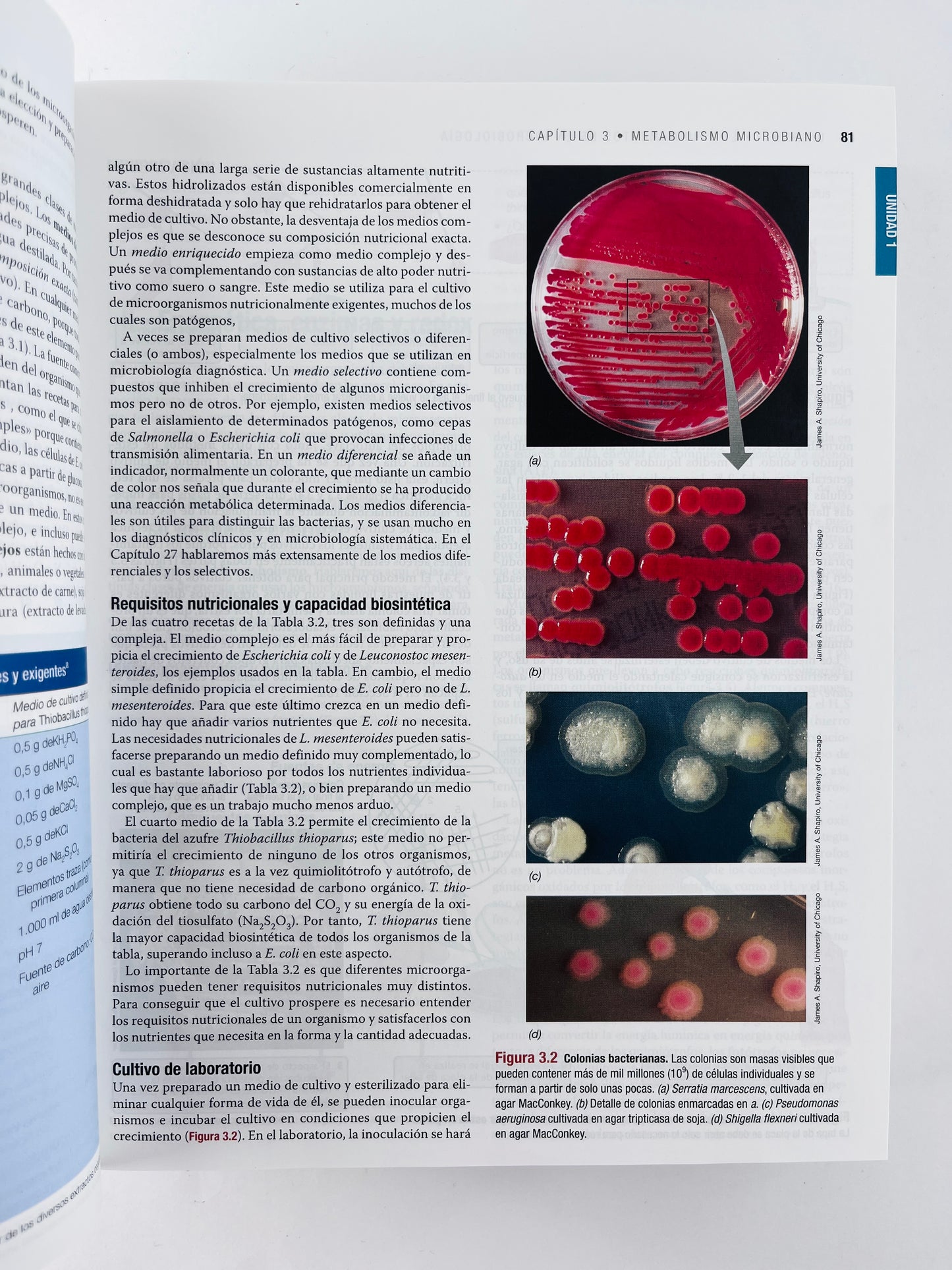 Biología de los microorganismos 14 edición