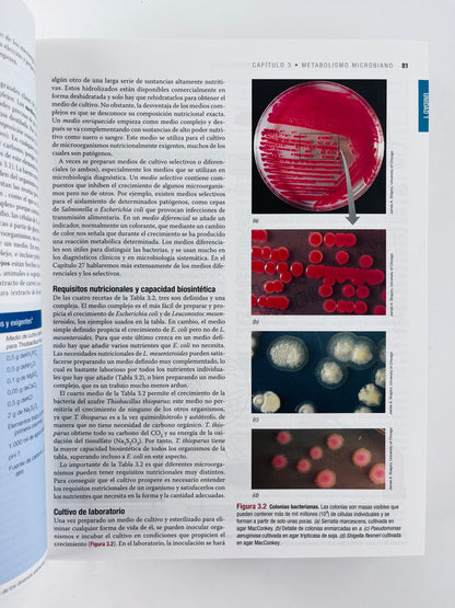 Biología de los microorganismos 14 edición