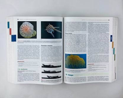 Biología de los microorganismos 14 edición