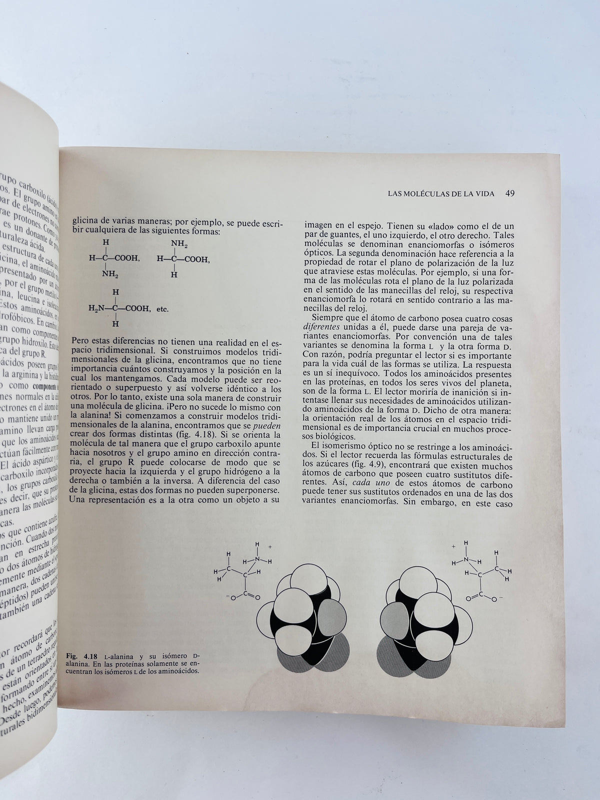 Biología cuarta edición by Kimball