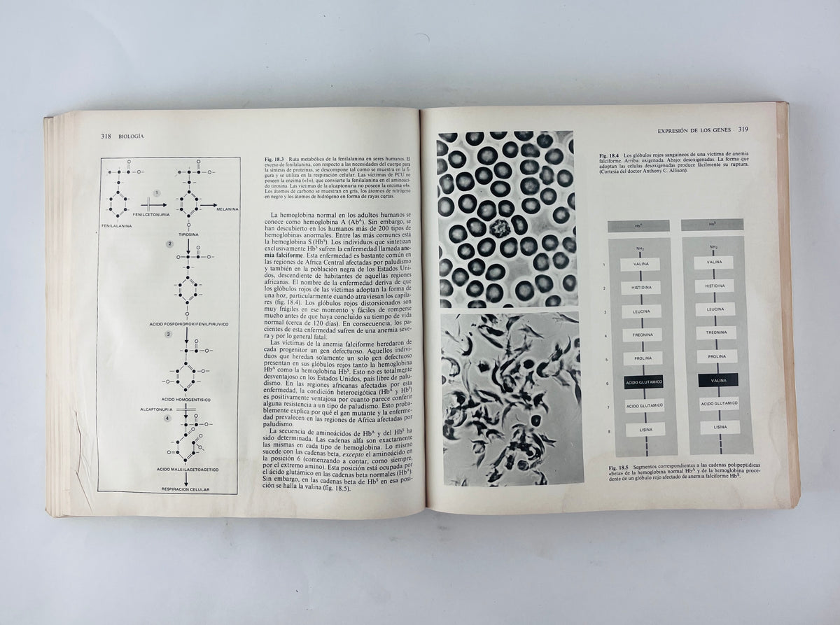 Biología cuarta edición by Kimball