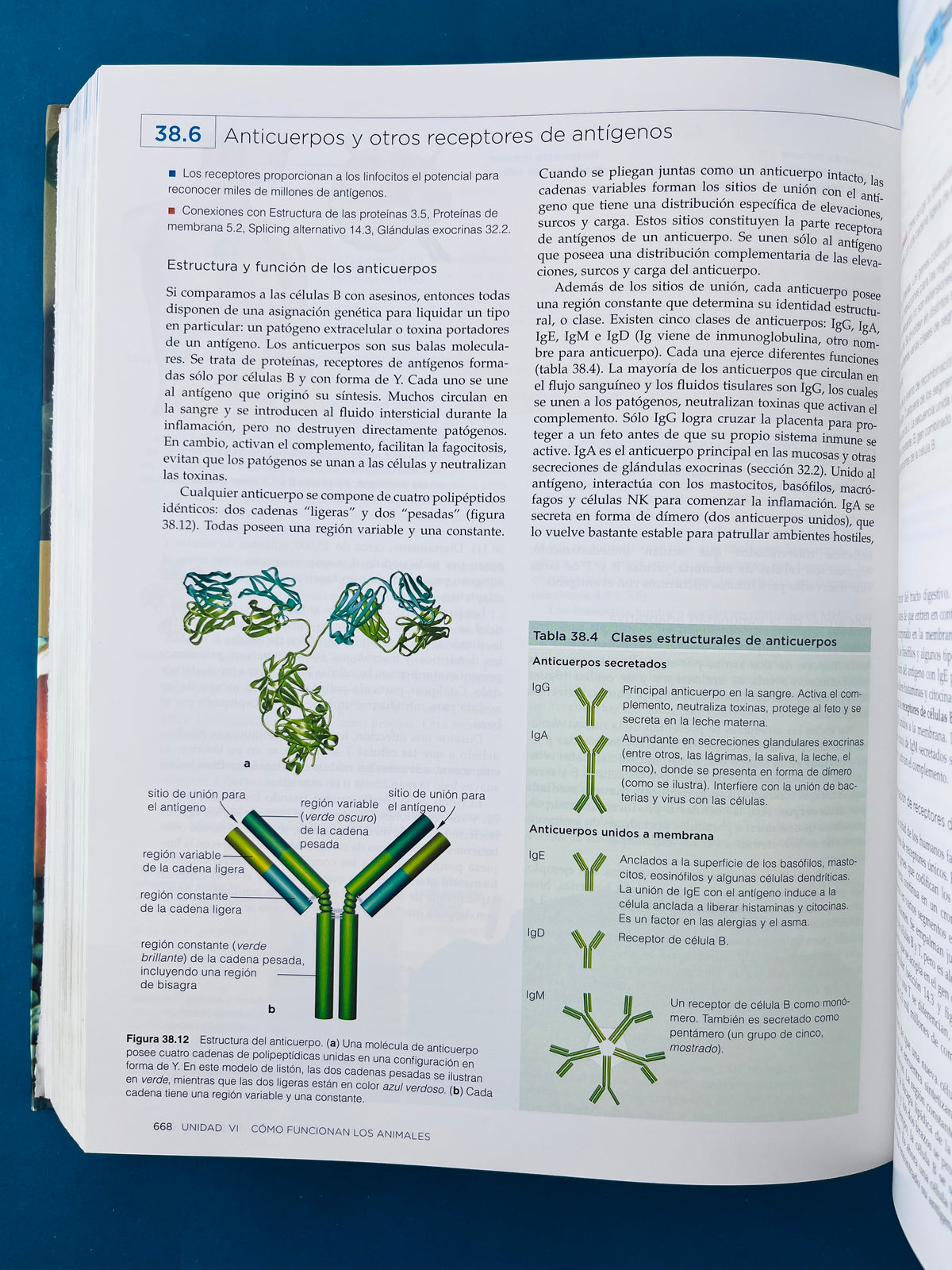 Biología la unidad y la diversidad de la vida 12a edición by Starr taggart Evers Starr