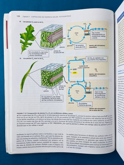 Biología ciencia y naturaleza segunda edición