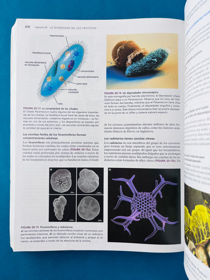 Biología ciencia y naturaleza segunda edición