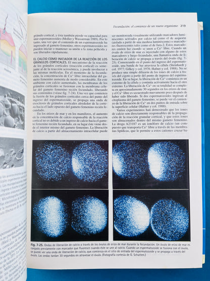 Biología del desarrollo séptima edición