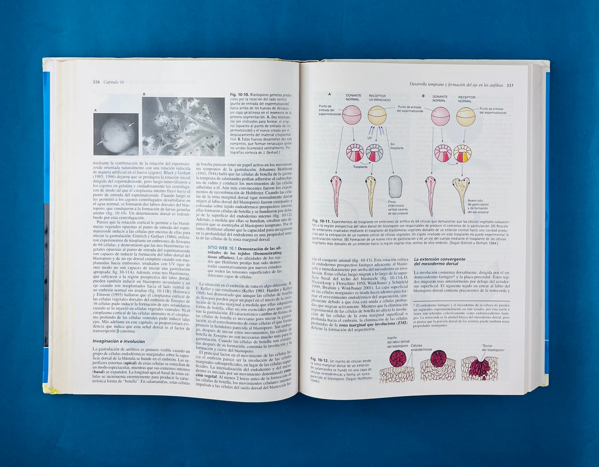 Biología del desarrollo séptima edición by Gilbert