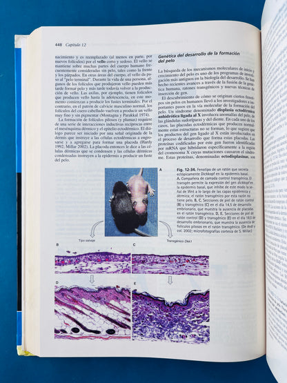 Biología del desarrollo séptima edición