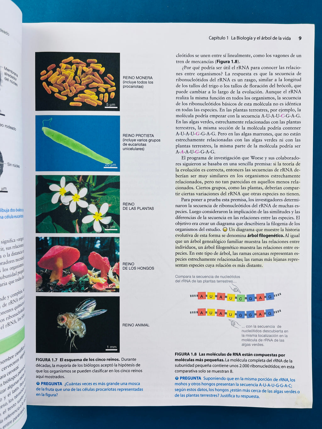Fundamentos de biología tercera edición by Scott Freedman